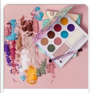 already own same palette